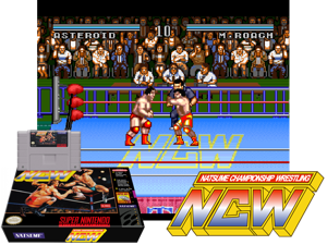 Natsume Championship Wrestling (U) [!] Cover